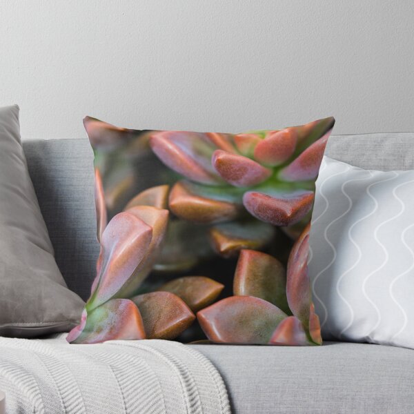 Aperçu de l'œuvre Plante succulente rouge et verte créée et vendue par srgreen.
