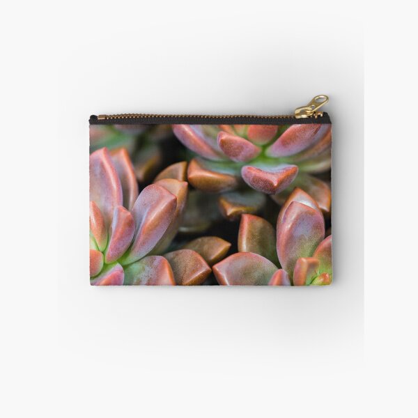Item preview, Succulents Red and Green Plant designed and sold by srgreen.