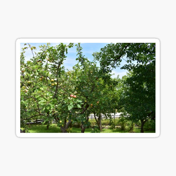Real Beautiful Flowers outside Sticker