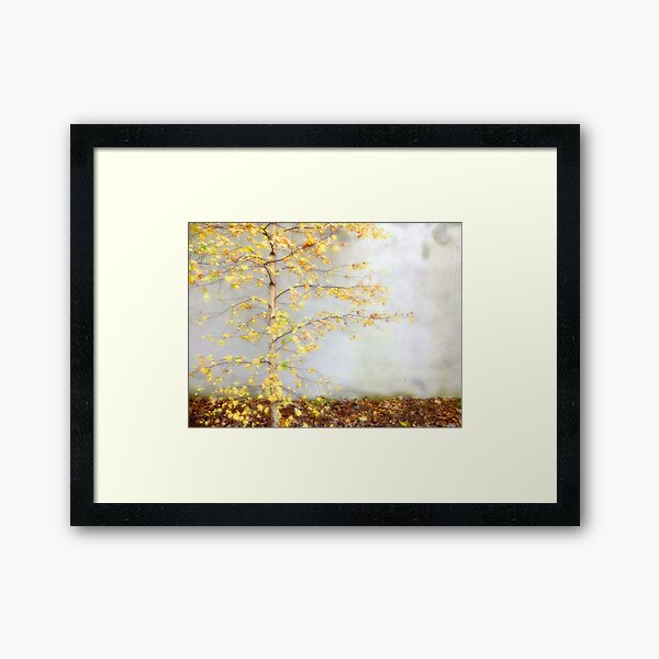 Yellow Leaves Framed Art Print