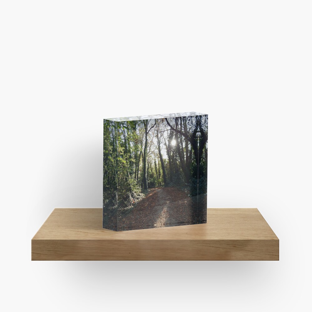 A Light in the Forest Acrylic Block