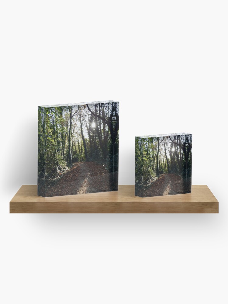 Alternate view of A Light in the Forest Acrylic Block