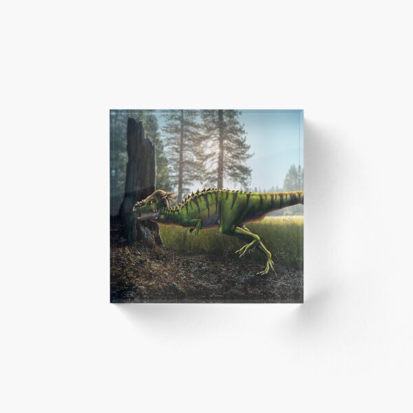 Item preview, Pachycephalosaurus Wyomingensis Restored designed and sold by Thedragonofdoom.