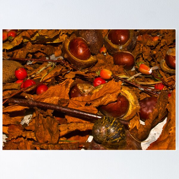 Artikelvorschau, The Fruits of Autumn entworfen und verkauft von Trevor Kersley.