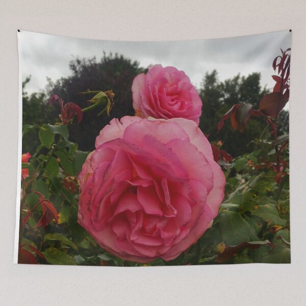 Item preview, Round Pink Rose  designed and sold by The Rage Garden.