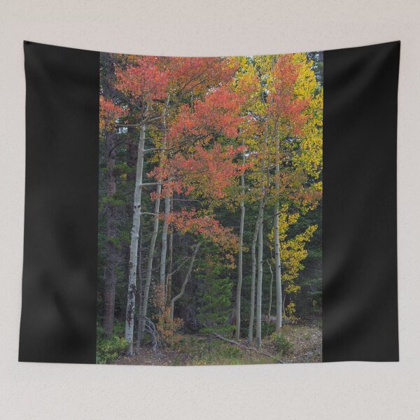 Item preview, Rocky Mountain Forest Reds designed and sold by Bo Insogna.
