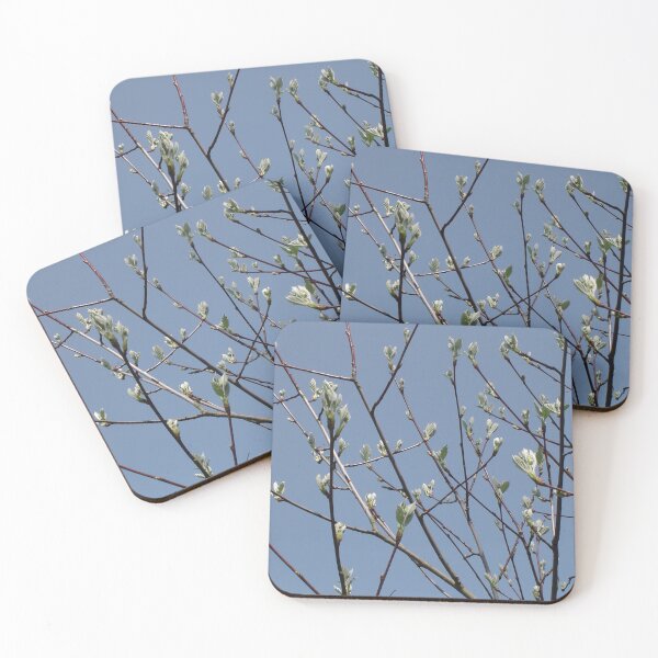 Item preview, Floral Fun - Cherry Blossoms at Kew Gardens 11 designed and sold by ellenhenry.