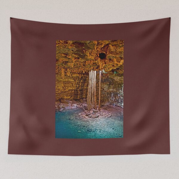 Item preview, Cenote Sammula. Yucatan. Mexico designed and sold by vadim19.