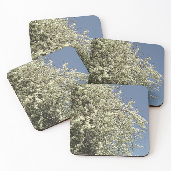 Item preview, Floral Fun - Cherry Blossoms at Kew Gardens 9 designed and sold by ellenhenry.