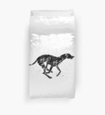 Whippet läuft Bettbezug