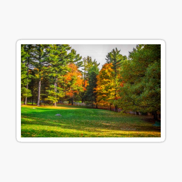Item preview, Autumn Colours 7 - MacKenzie-King Estate designed and sold by Yannik Hay.