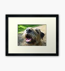 Butch Framed Print