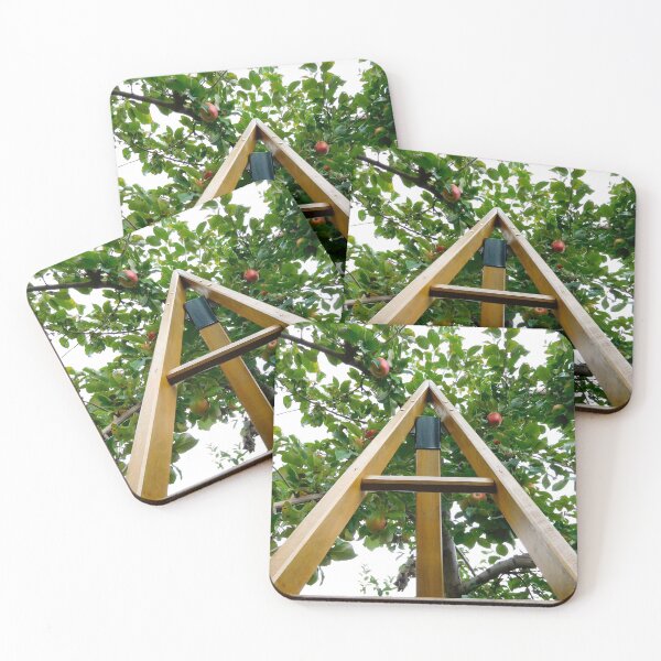 Item preview, Ladder in Apple Orchard, Topsham, Maine designed and sold by HilaryLeslie.