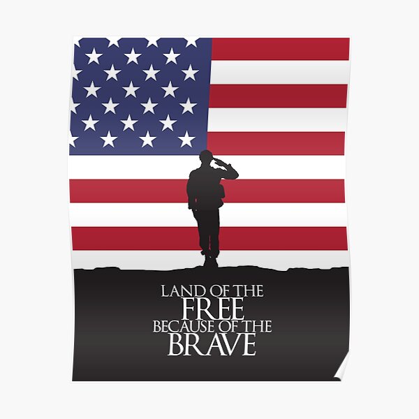 Land Of The Free Because Of The Brave Us Flag Poster For Sale By