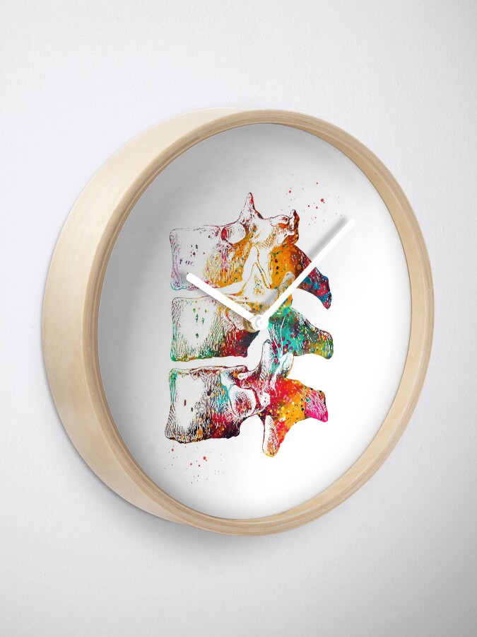 Alternate view of Thoracic vertebrae Clock