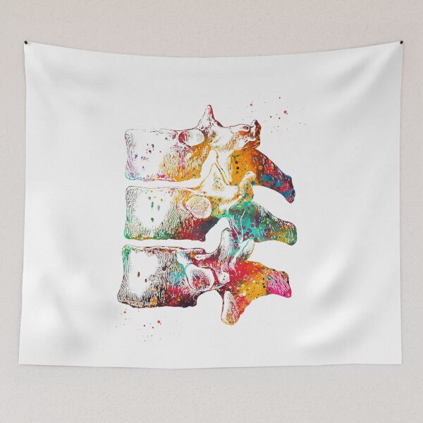 Item preview,  Thoracic vertebrae designed and sold by Liededrom..