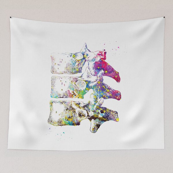 Item preview,  Thoracic vertebrae designed and sold by Liededrom..