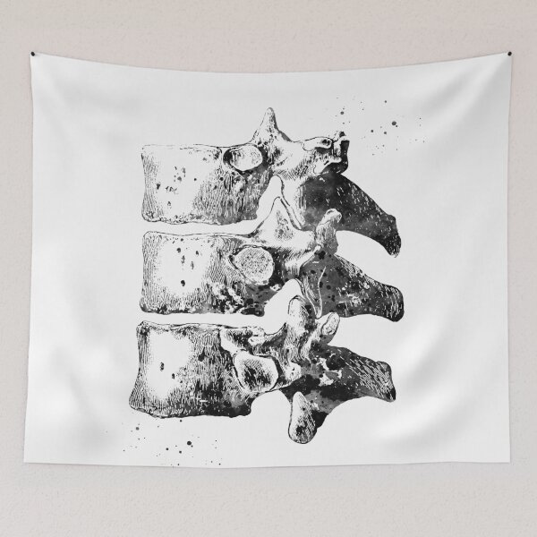 Item preview, Thoracic vertebrae designed and sold by Liededrom..