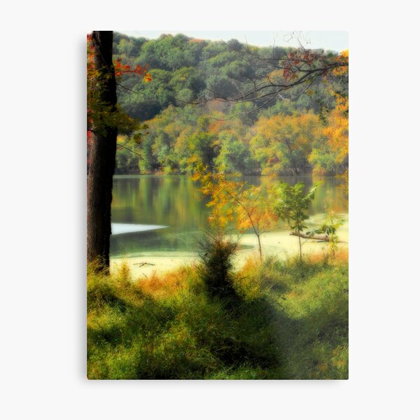 Radnor Lake Metal Print