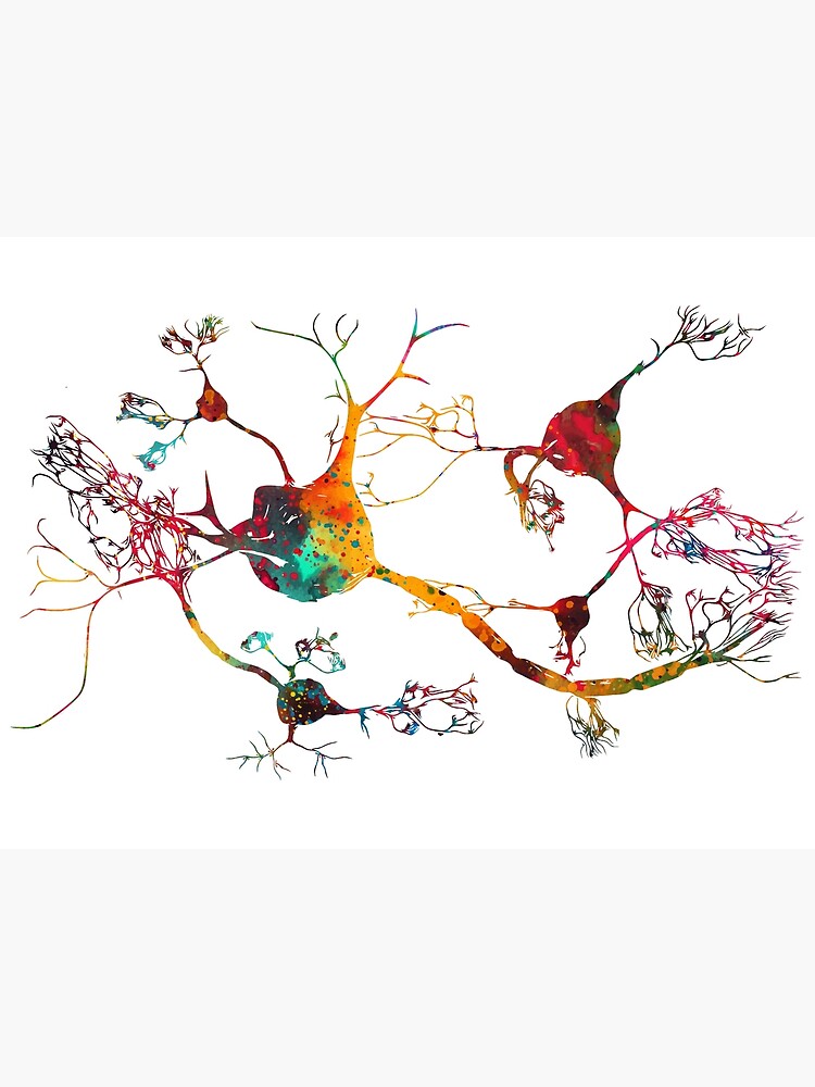  Neurons and nervous system by erzebetth