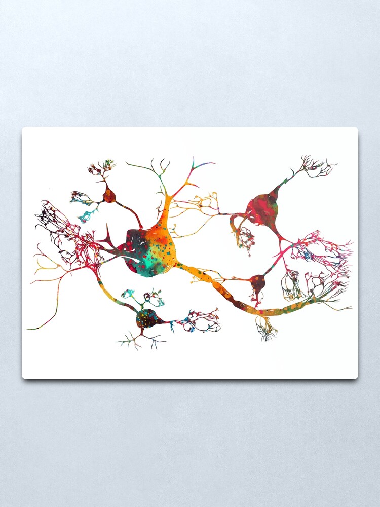 Alternate view of Neurons and nervous system Metal Print