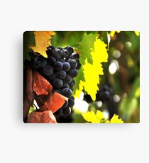 Bunch of grapes Canvas Print