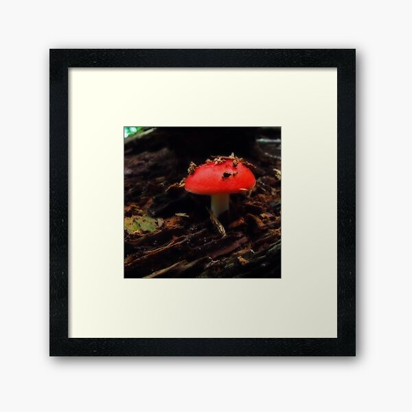 New life Framed Art Print