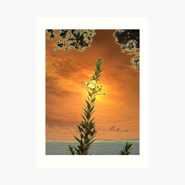 GOLDEN DAWN Art Print
