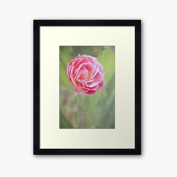 Item preview, Miniature pink rose designed and sold by Agnes McGuinness.