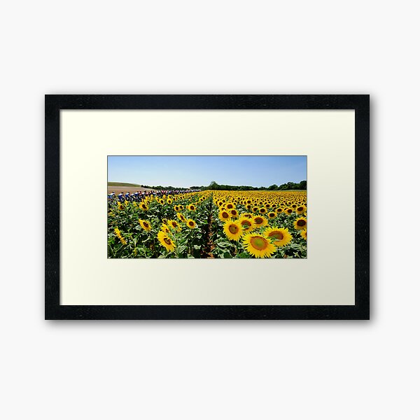 Item preview, Tournesols designed and sold by Eamon Fitzpatrick.