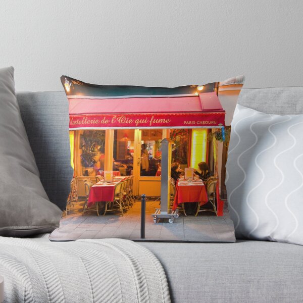 Parisian hot sale throw pillows