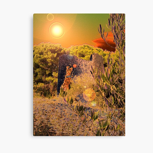 Canvas Print