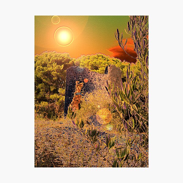 Photographic Print