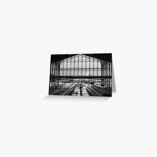 Alone on the platform Greeting Card
