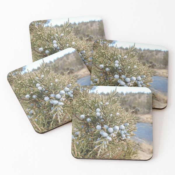 Item preview, Eastern Oregon Juniper Berries designed and sold by HilaryLeslie.
