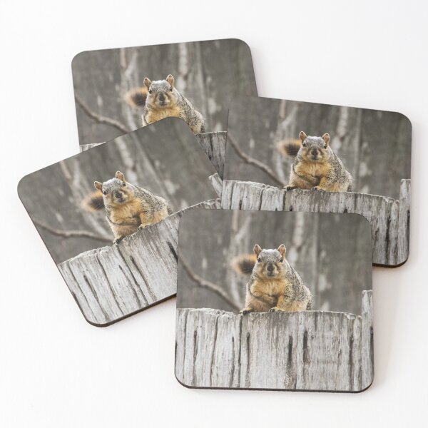 Item preview, Hey, Got Any Nuts For Me?  designed and sold by heatherfriedman.