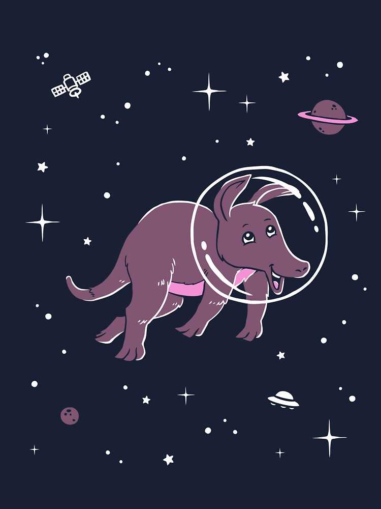 Aardvark In Space T-Shirt - Cute Cartoon Aardvark Aardvark In Space T-Shirt - Cute Cartoon Aardvark
