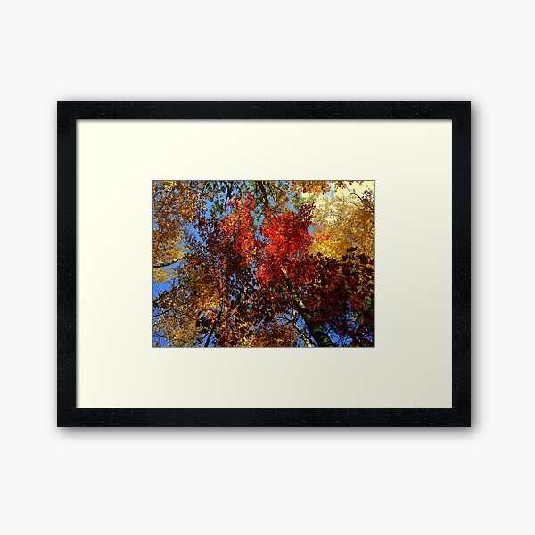 The View Above 2 Framed Art Print