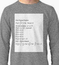 #mathematics #gammafunction #Γ #capital #Greekalphabet #letter #extension #factorial #function #argument #shifteddown #real #complex #numbers #gamma #defined #complexnumbers #nonpositive #integers Lightweight Sweatshirt
