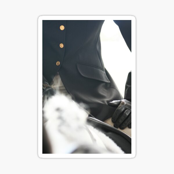 Item preview, Show Rider designed and sold by Jennifer Saville.