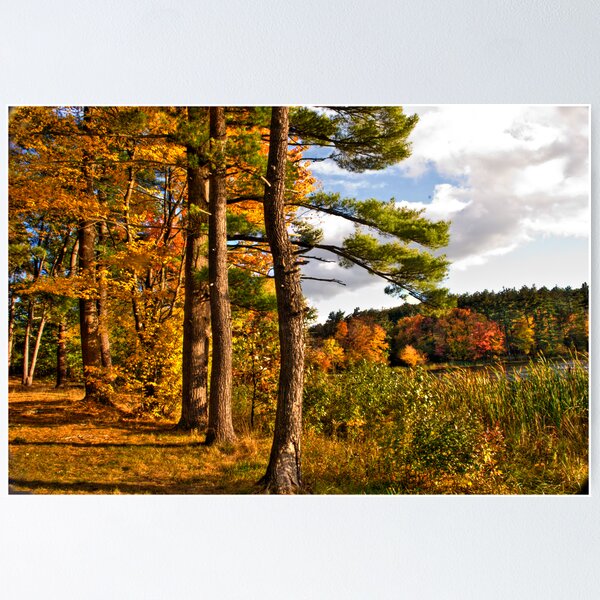Item preview, Fall in NH designed and sold by LudaNayvelt.