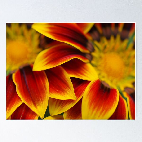 Item preview, Sun painted designed and sold by goddessteri211.