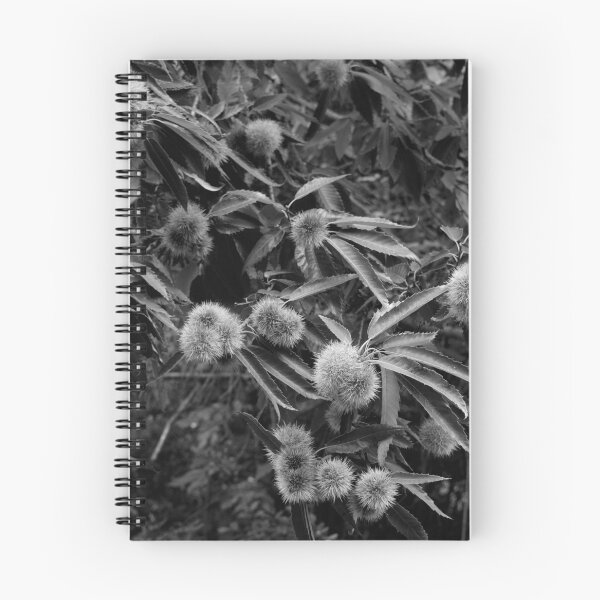 Item preview, 2018 Castagna designed and sold by robertoferrero.