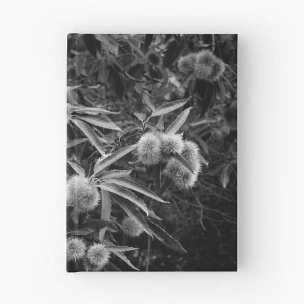 Item preview, 2018 Castagna designed and sold by robertoferrero.
