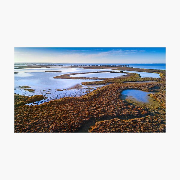 Item preview, Creery Island designed and sold by Stanislaw.