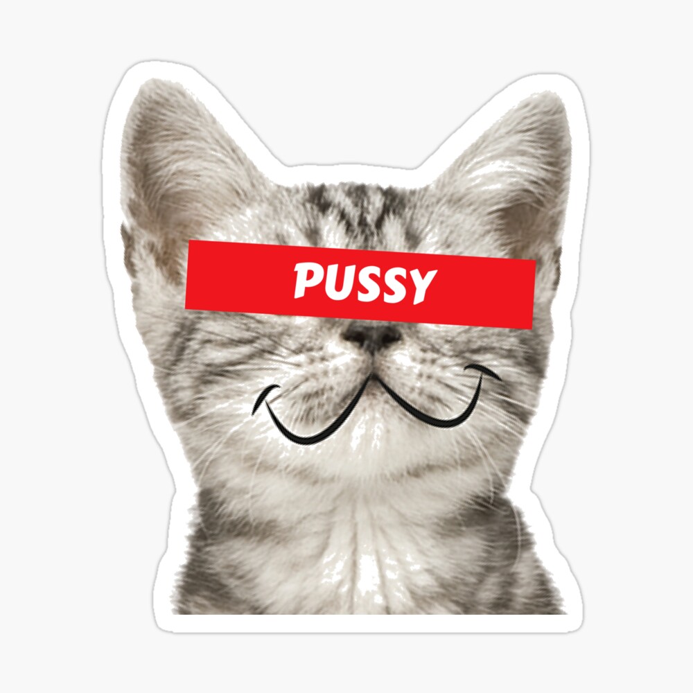 supreme cat sticker