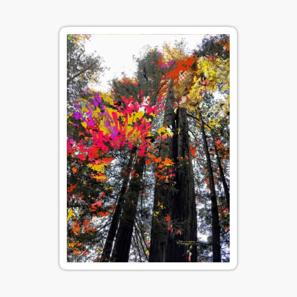 Item preview, autumn trees designed and sold by ackelly4.