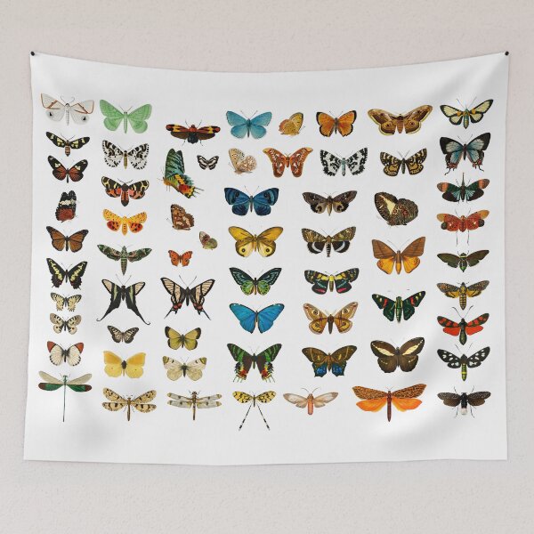 Item preview, Butterflies and Moths  designed and sold by Divine Ease.