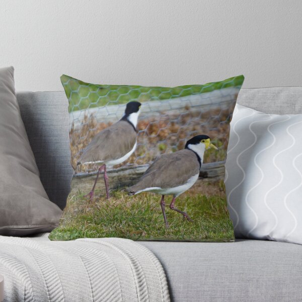 LAPWING ~ Masked Lapwing LYD6UDB7 by David Irwin Throw Pillow