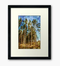 High And Mighty Framed Print